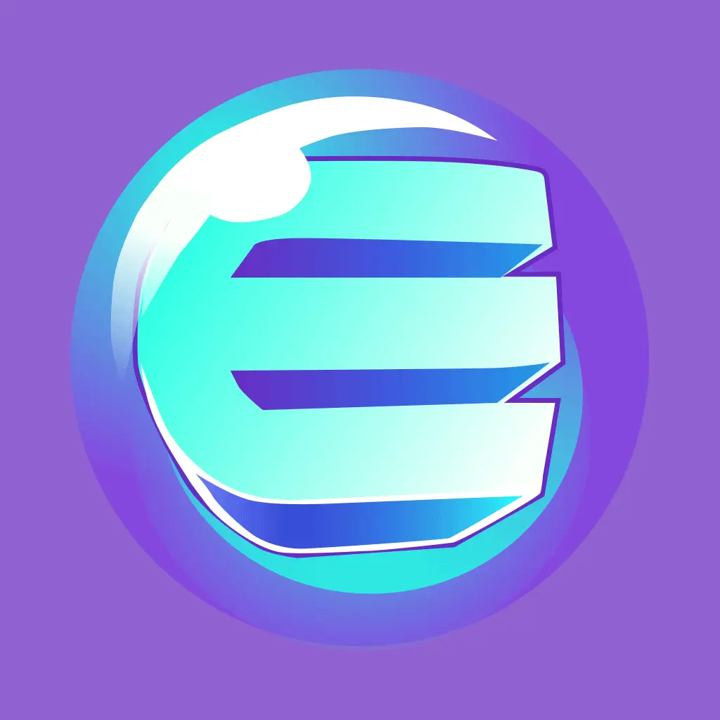 Enjin Coin Türk Lirası